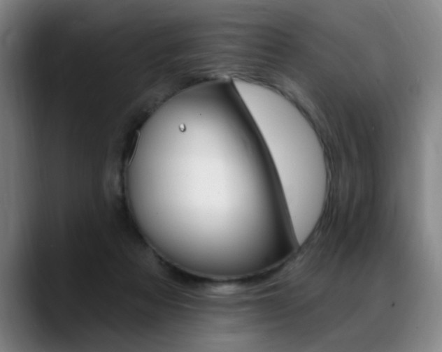 X0000089380313200706150916
