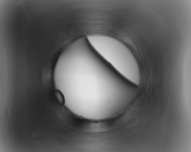 X0000089380314200706150916