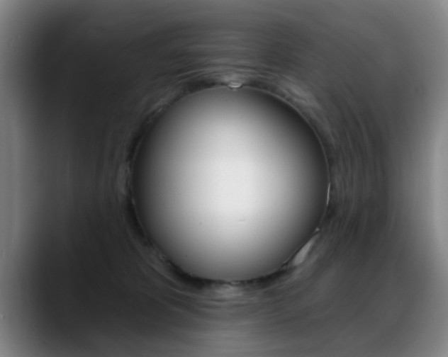 X0000089380325200706150916
