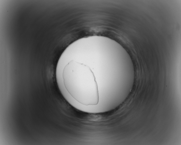 X0000089380328200706150916
