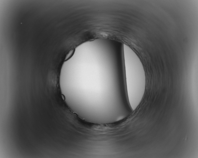 X0000089380331200706150916