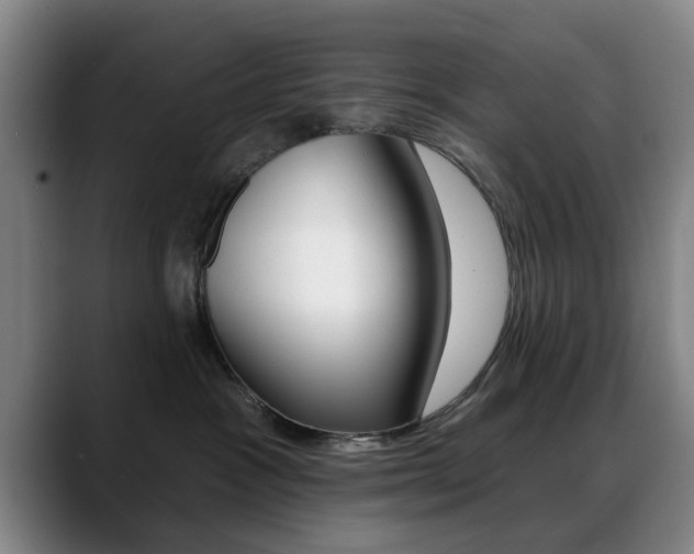 X0000089380333200706150916