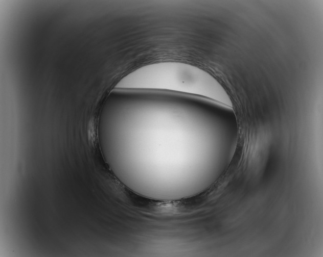 X0000089380335200706150916