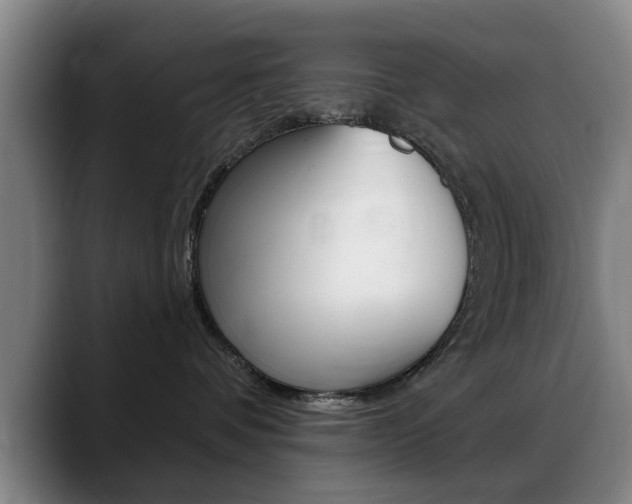 X0000089380336200706150916