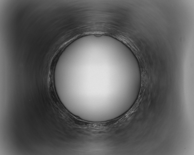 X0000089380338200706150915