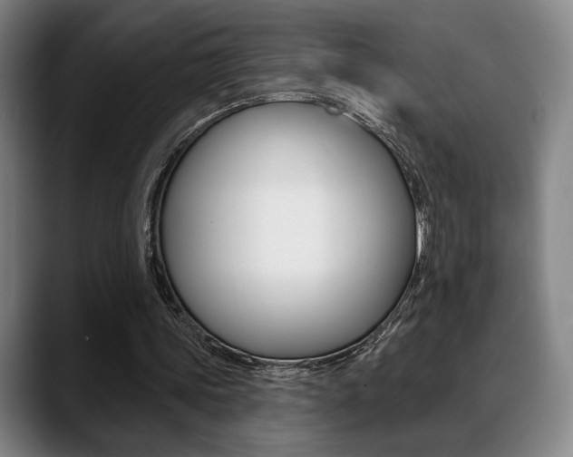 X0000089380339200706150915