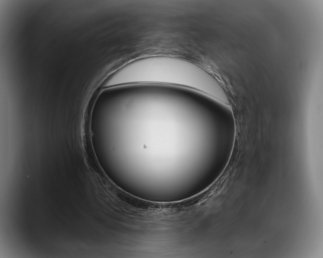 X0000089380340200706150915