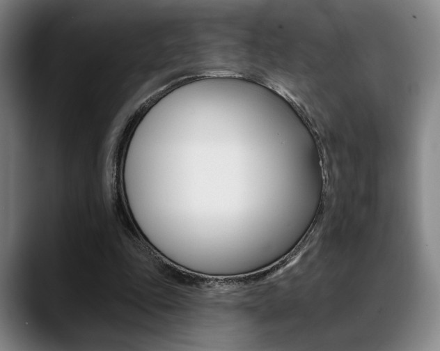 X0000089380343200706150915