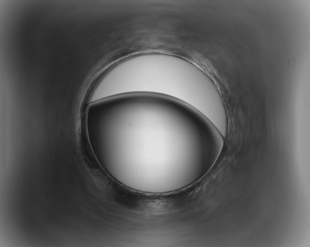 X0000089380344200706150916
