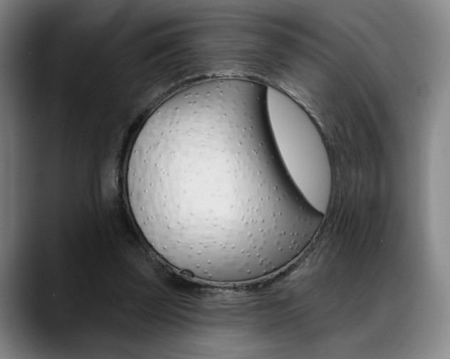 X0000089380347200706150916