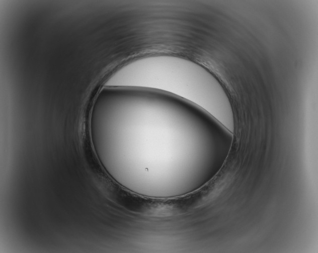 X0000089380348200706150916