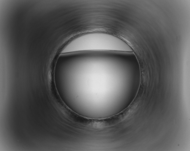 X0000089380350200706150916