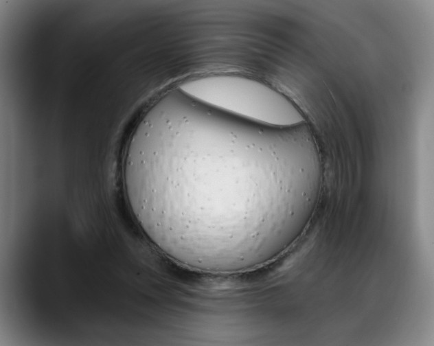 X0000089380351200706150916