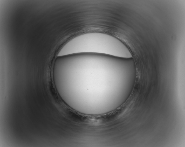X0000089380352200706150916