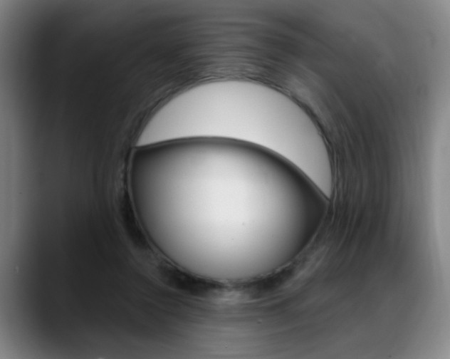 X0000089380356200706150916