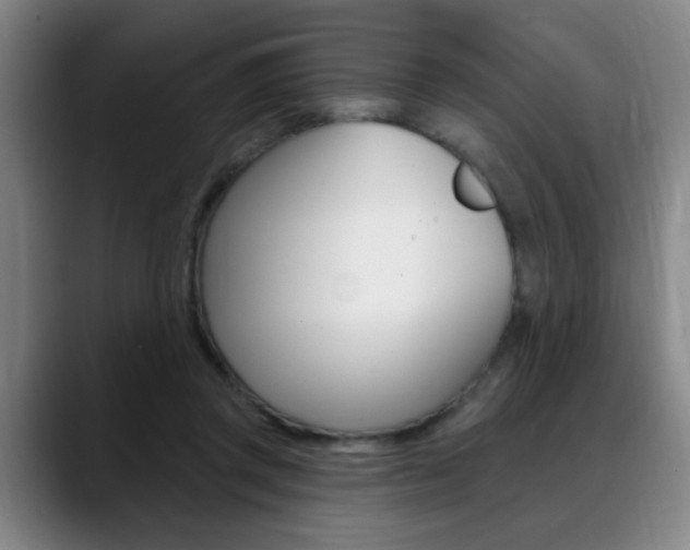 X0000089380357200706150916