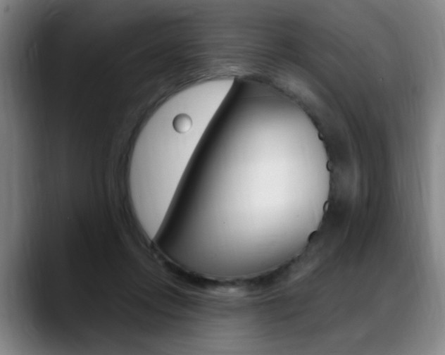 X0000089380358200706150916