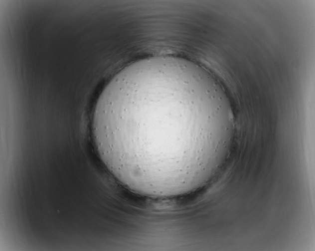 X0000089380359200706150916