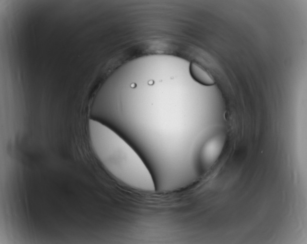 X0000089380361200706150916