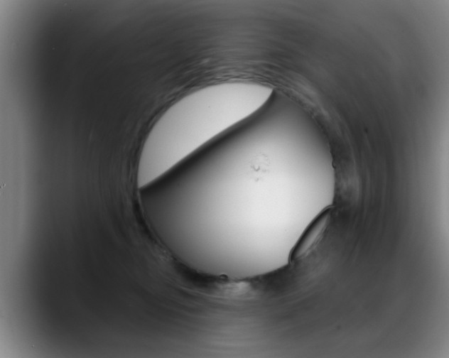X0000089380374200706150916