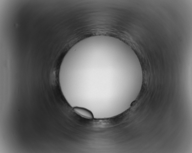 X0000089380378200706150916
