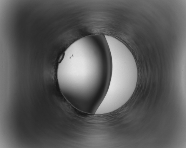 X0000089380380200706150916