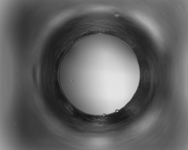 X0000089380382200706150916