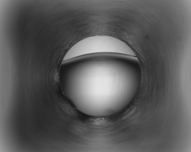 X0000089380384200706150916
