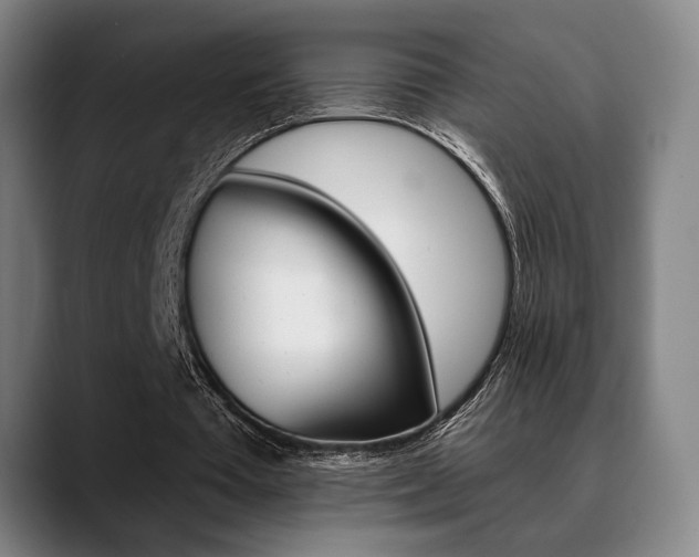 X0000089380385200706150915