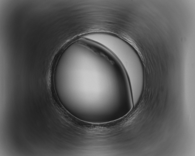 X0000089380387200706150915