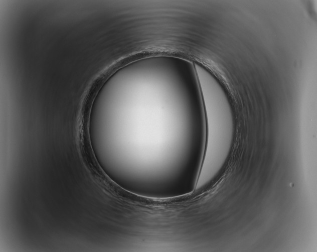 X0000089380388200706150915