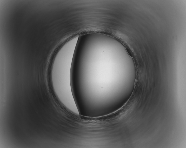 X0000089380395200706150915