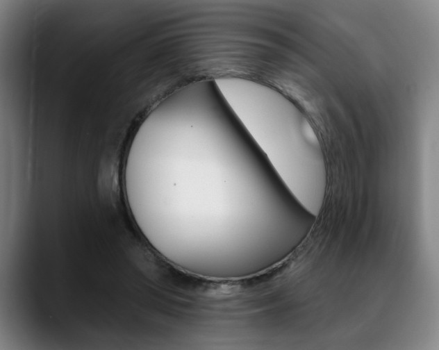 X0000089380398200706150915