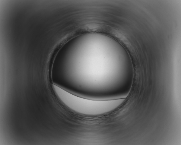 X0000089380399200706150915