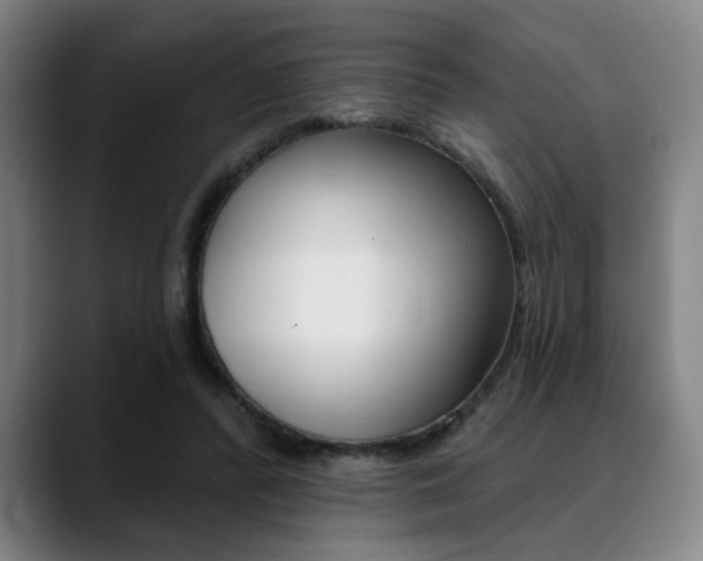 X0000089380400200706150915