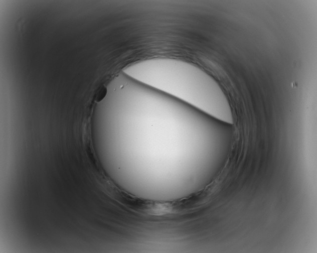 X0000089380409200706150915