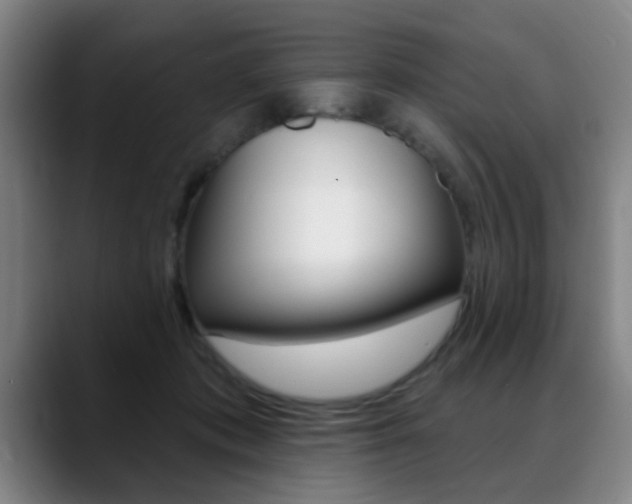X0000089380413200706150915