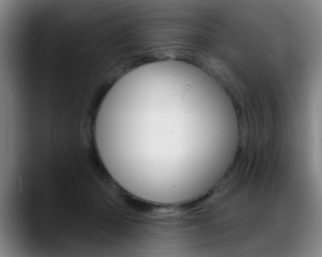 X0000089380414200706150915