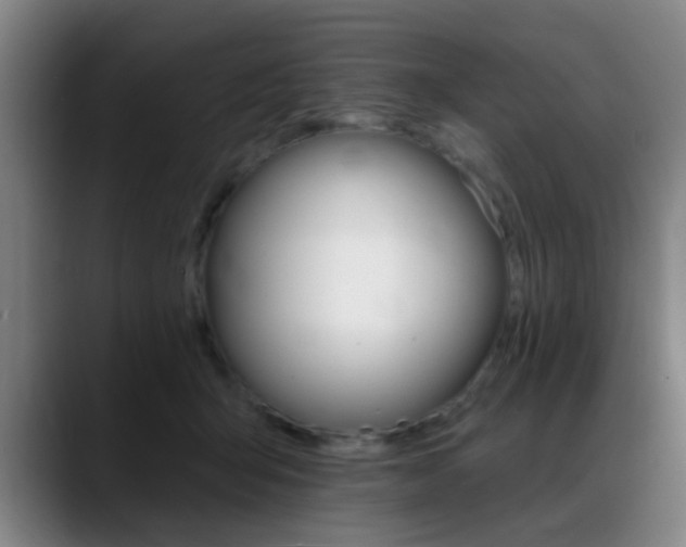 X0000089380415200706150915