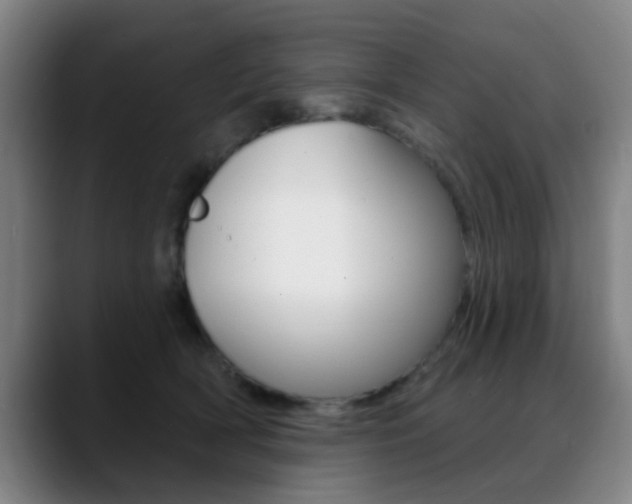 X0000089380418200706150915