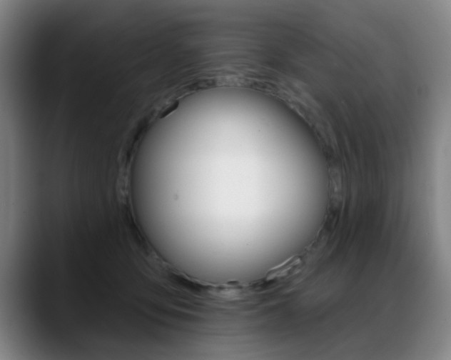 X0000089380419200706150915
