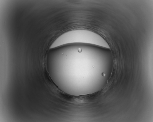 X0000089380423200706150915