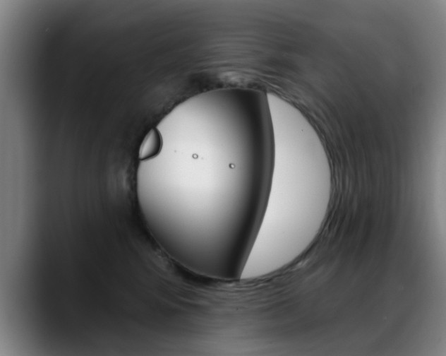X0000089380424200706150915