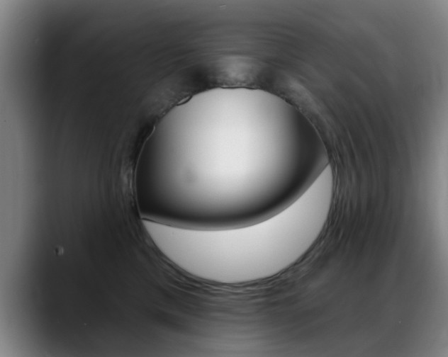 X0000089380425200706150915
