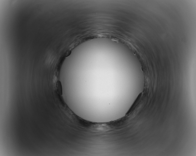X0000089380427200706150915