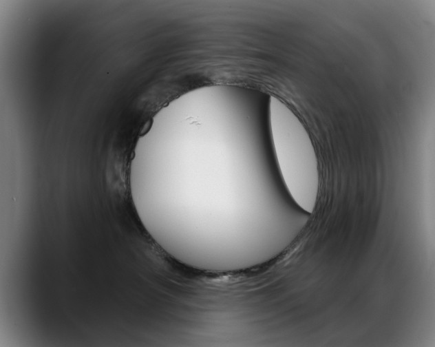 X0000089380430200706150915
