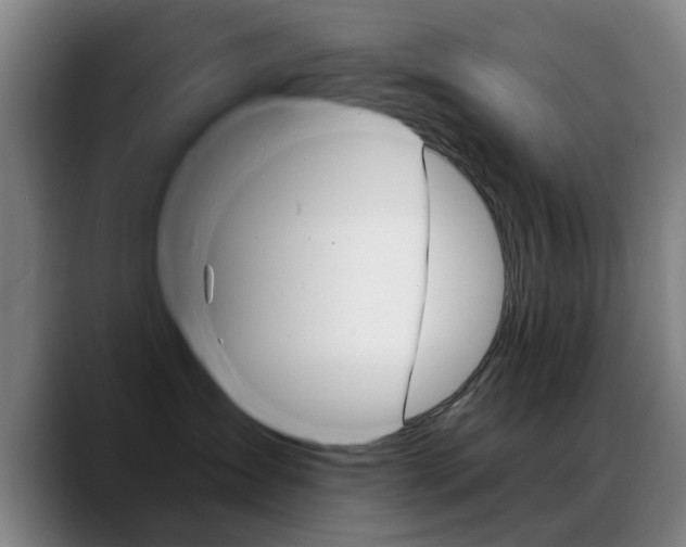 X0000089380431200706150915