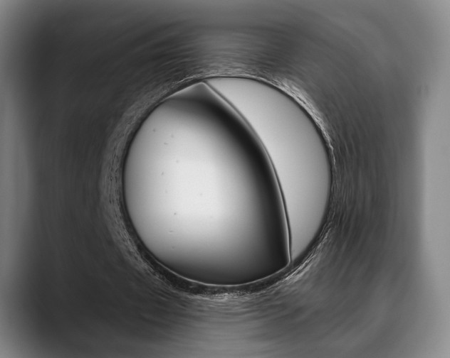 X0000089380433200706150914