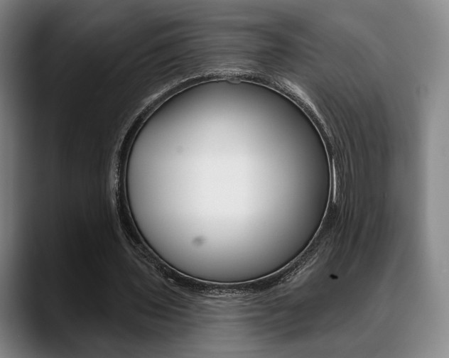 X0000089380435200706150914