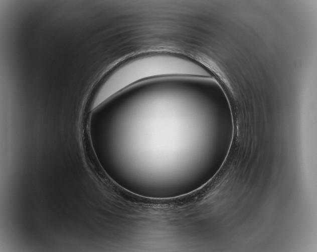 X0000089380436200706150914